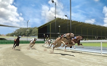 Betflag giochi virtuali